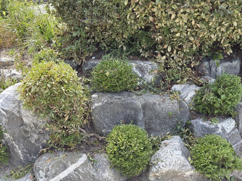 d440a7e04bbc520cb82cecbef5f7a850_1789199890_7923.jpg